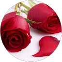 Kalpana G profile picture